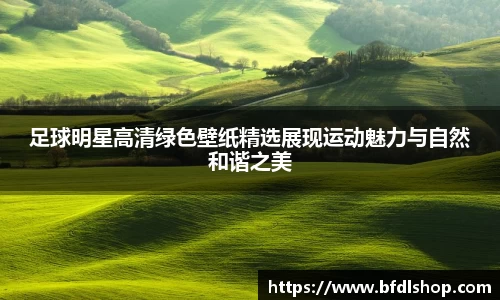 韦德体育